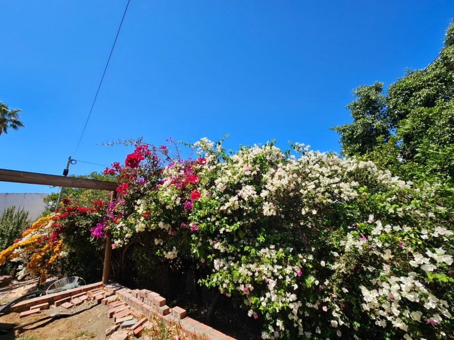 4 Bedroom Property for Sale in Prince Albert Western Cape